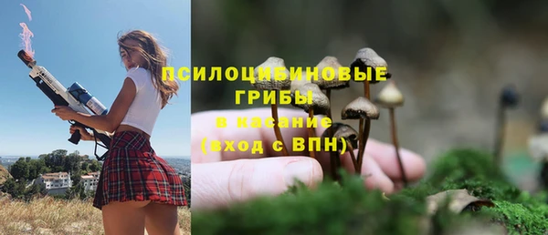 мдпв Арсеньев