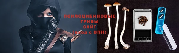 таблы Аркадак