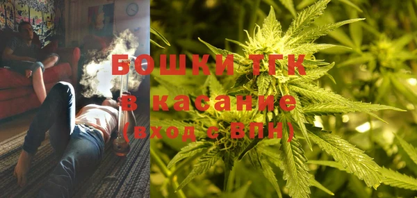 крисы Баксан